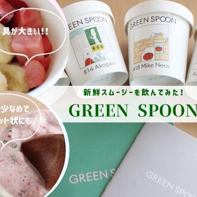 フルーツ・野菜がゴロゴロ！ミキサーで10秒簡単☆GREEN SPOON（グリーンスプーン）の口コミ評判