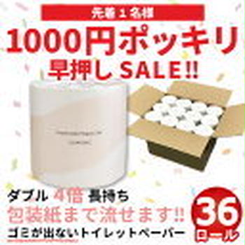 21日20時～かつおの角煮 スープジャー 1000円ポッキリトイレットペーパー ロングネックレス