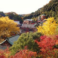 奈良の信貴山まで紅葉を・･:*:･ﾟ'☆♪　