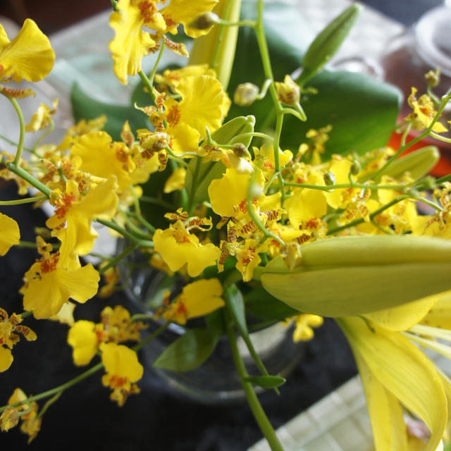 今日のお花。　ウニクリームの冷たいフェトチーネ。　