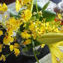 今日のお花。　ウニクリームの冷たいフェトチーネ。　