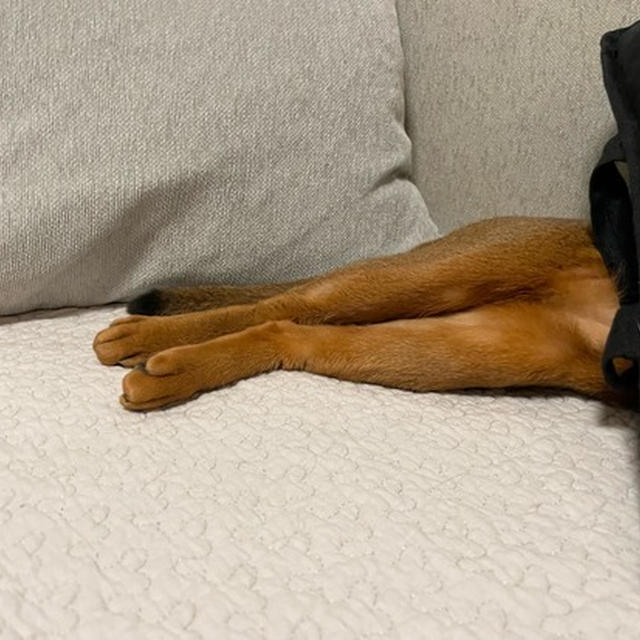 誰のあんよでしょうかー