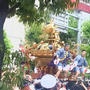 ☆神田祭の御神輿☆