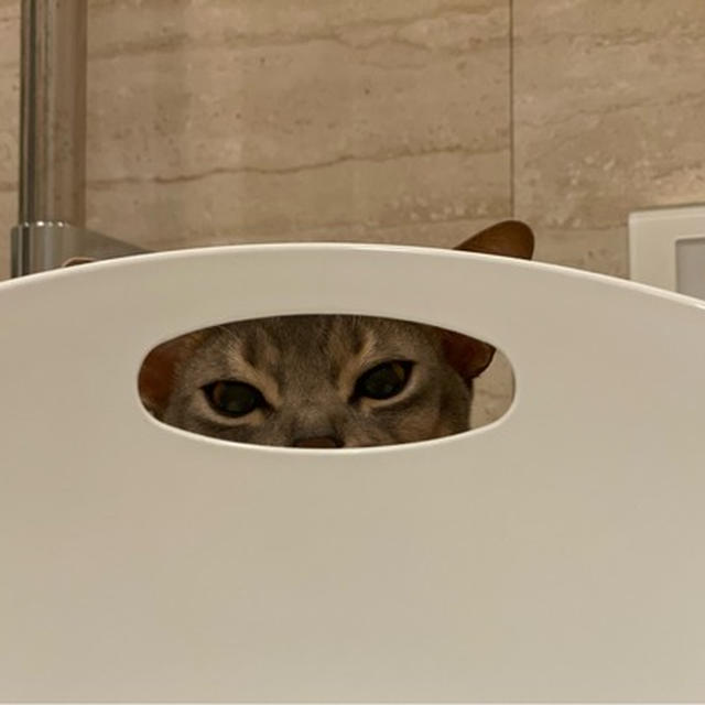 どっちのグレーでしょうかー？