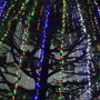 クリスマスツリー点灯式に行ってきました♪