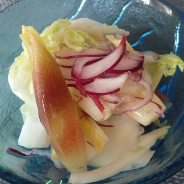 みょうがと白菜の浅漬けサラダ風とお気にいりヨーグルトの食べ方