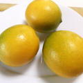『レモンのはちみつ漬け』免疫力アップと癒し効果はお任せ！