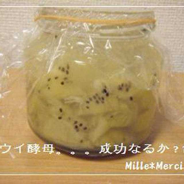 読者のこと★キウイ酵母のこと★