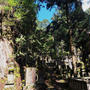 高野三山巡り　山登り２２回目