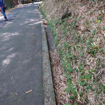 実家地方の清掃作業