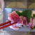 長崎県産：イサキ昆布じめ（煎り酒）