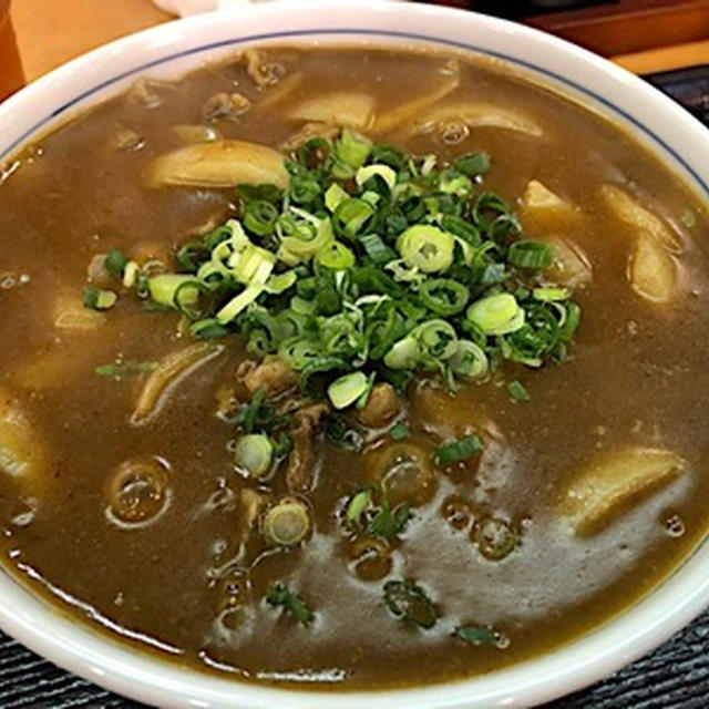 残念なカレーうどん