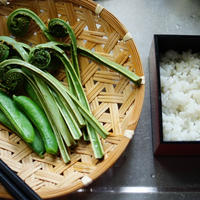 春のお寿司