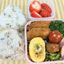 今日のJK弁当