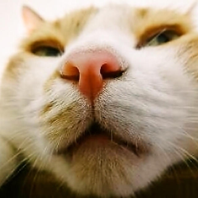 変顔