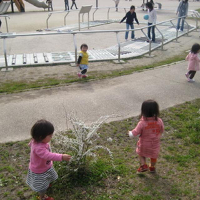 ピクニックっ☆☆
