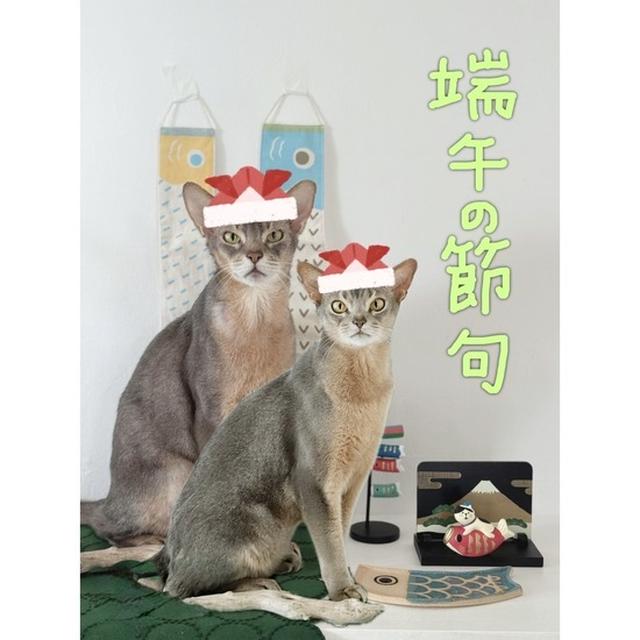 ぼくちん&坊の日♪ 〜端午の節句2025〜