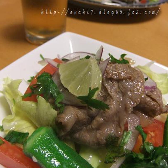 牛肉のエスニック風サラダ