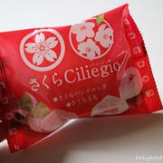 春のチロルチョコ＊さくらシリエージョ