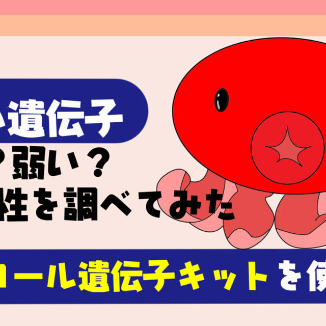 【アルコール感受性遺伝子検査】お酒に強い？弱い？分解・代謝・依存性を徹底解説