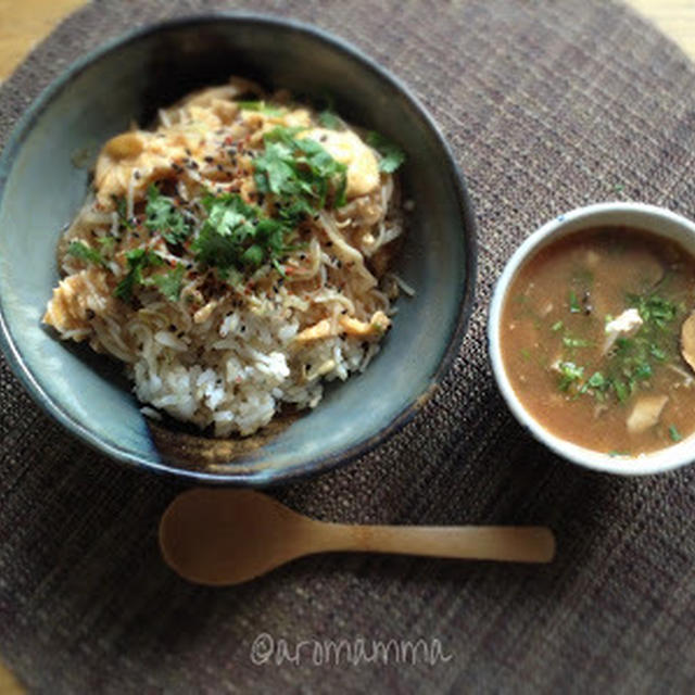 もやしと豚肉のライスヌードル玉子あんかけ丼とトマトのサルサ和え