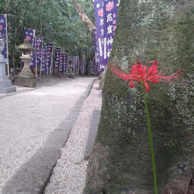 熊野 花の窟神社で秋を見つける