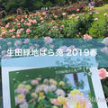 生田緑地「ばら苑」2019年春 令和元年も満開！オープンエアの解放感あふれる空間