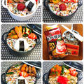 食いしん坊からちゃんの♪誤差ありおにぎり弁当ダイジェスト(笑)＆嬉しいお届けもの by からあげビールさん