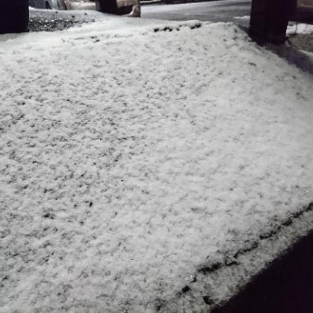 横浜、ただいま積雪3cm... / グリコ パピコ 大人の濃い苺