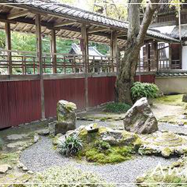 ☆2010 初秋の京都④：十輪寺☆