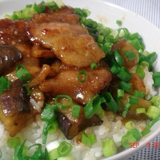 豚肉と茄子のカレー照り焼き丼