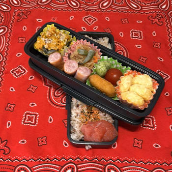 今日のお弁当