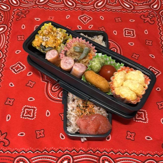今日のお弁当