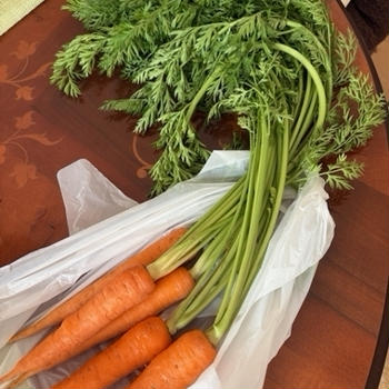 人参の葉の和え物