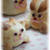 うさぎパン。
