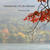 Autumn tint of Lake Haruna