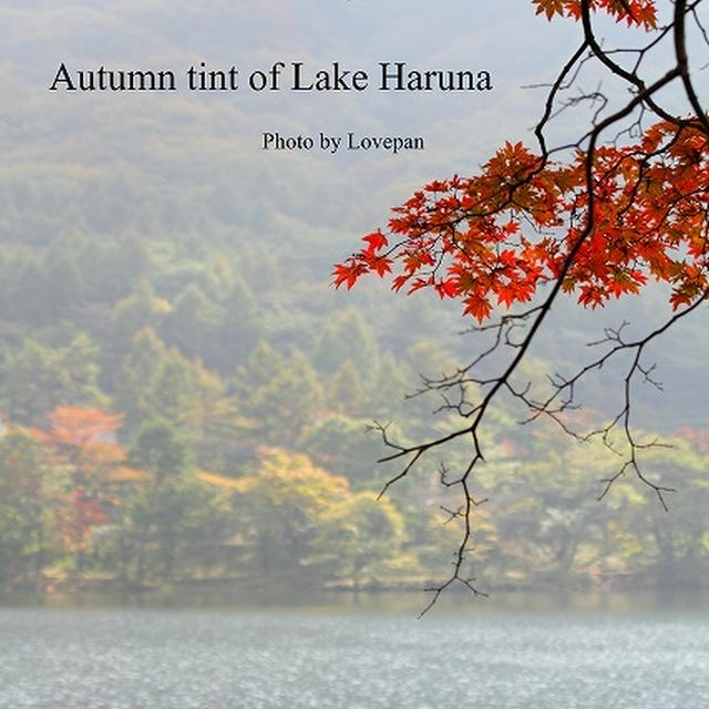 Autumn tint of Lake Haruna