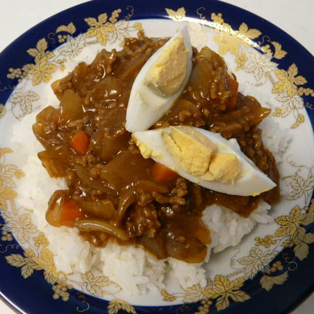 スパイシードライカレー