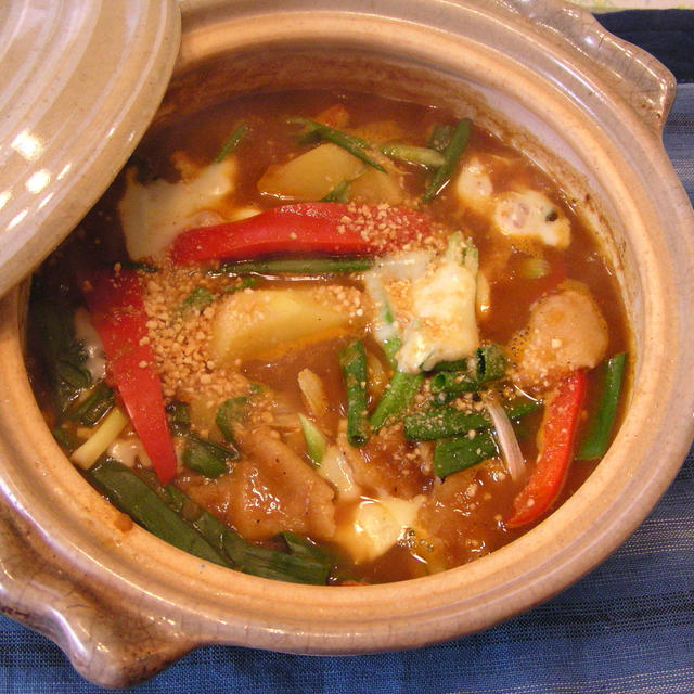 リーちゃん風カレーペーストで・・・野菜たっぷりカレーすいとん