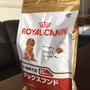 ロイヤルカナン 犬種別ウェットフード！