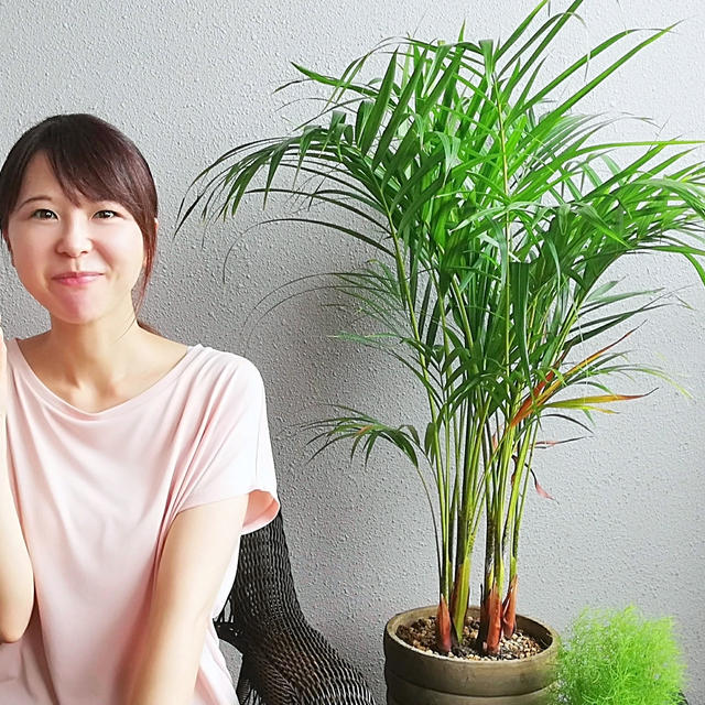 パン生地が過発酵になった時の対処法は2つあります!!