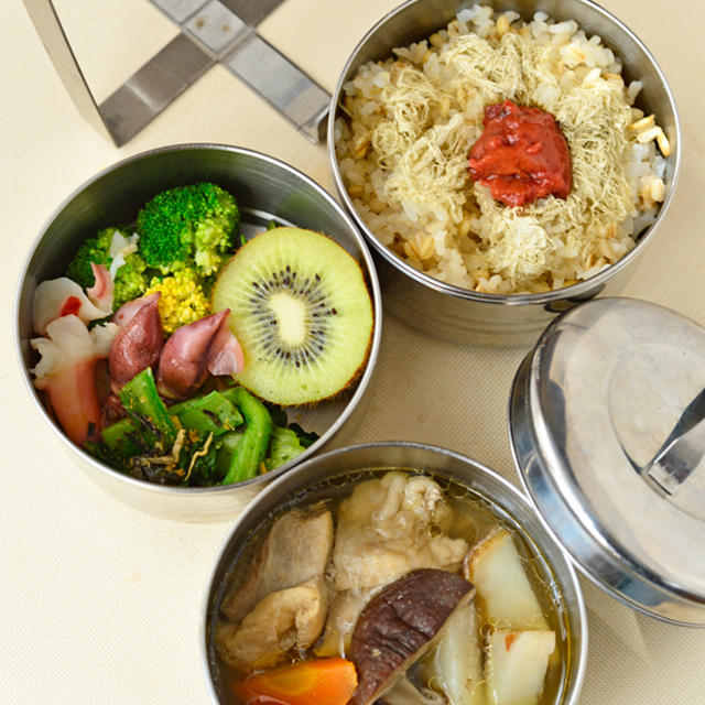 鶏と干し椎茸と根菜のスープ煮　スリランカ旅８　晩ごはんの残りで作るお弁当　５月２２日　木曜日　