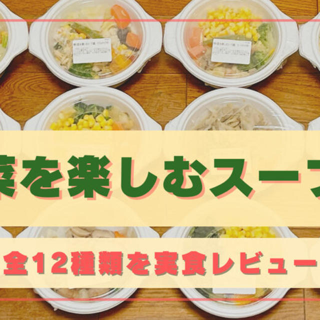 「野菜を楽しむスープ食」全12種類を実食!!【口コミとレビューを紹介】