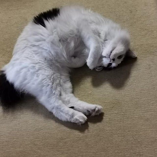 放心状態