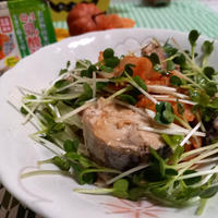 簡単！楽ちん♪鯖缶キムチのせ