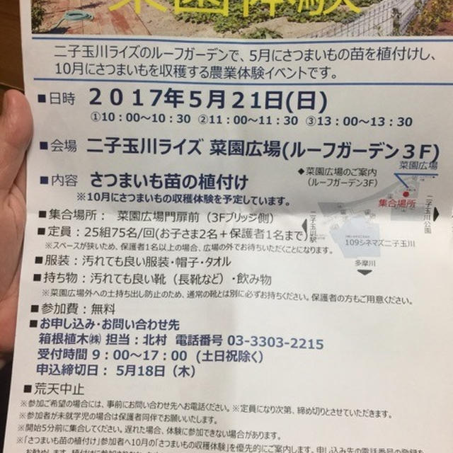 二子玉川ライズ ルーフガーデンで菜園体験 参加費無料 さつまいも苗植え付け&収穫