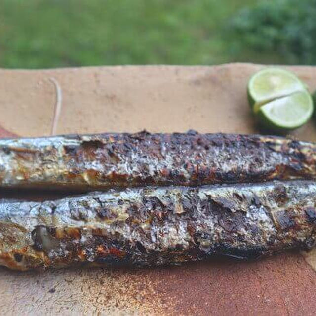 炭火で楽しい秋刀魚の選び方と焼き方