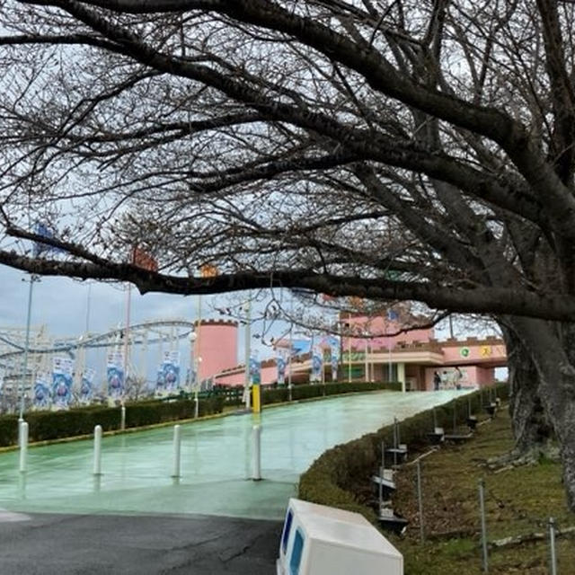 【グリーンランドリゾート(9656)】雨の株主感謝デーで遊んできました