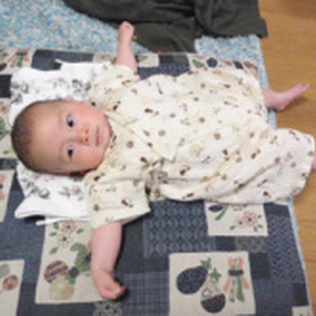日本列島ジグソー