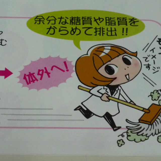 第36回RSPin白金台。。タイヨーラボ「サンファイバー」